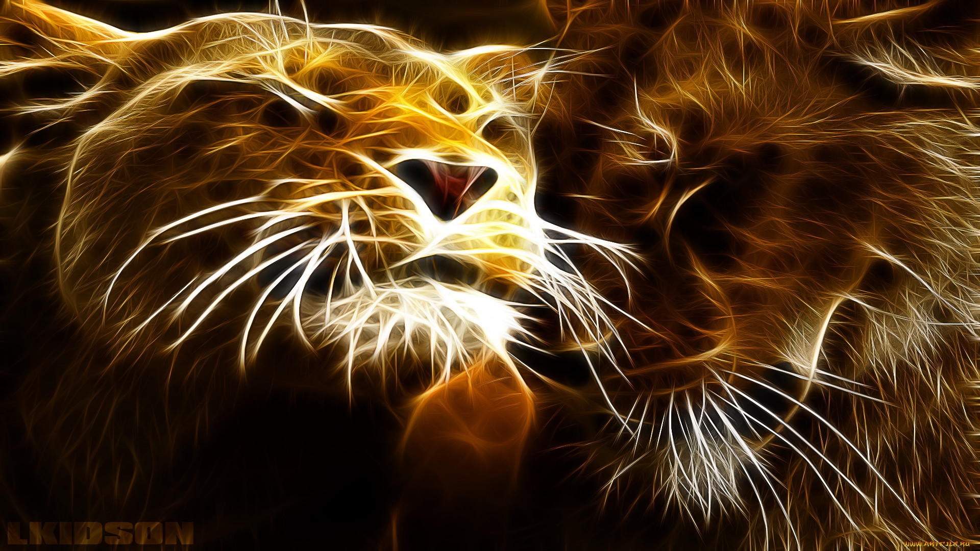 3, , animals, , , 